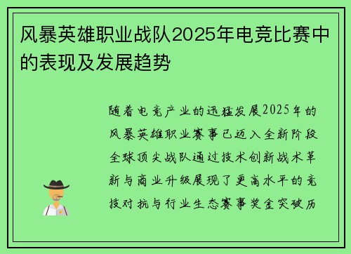 风暴英雄职业战队2025年电竞比赛中的表现及发展趋势
